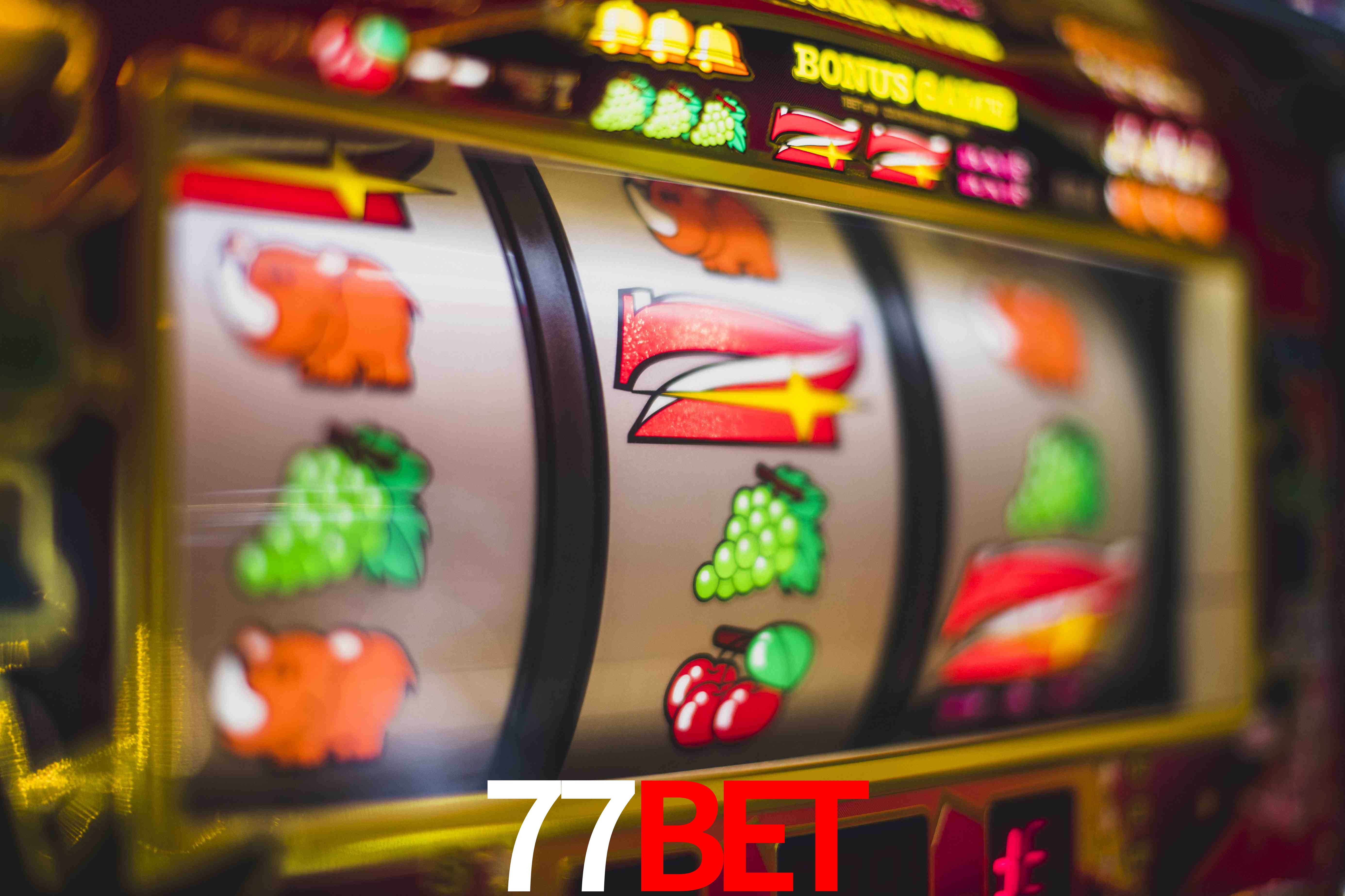 Sports Statistics 77bet